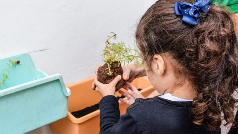 Cachoeiro celebra um ano do serviço família acolhedora com ação no centro da cidade