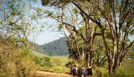 Aprendizado Sem Custo: Capacitação Gratuita Explorará a Aplicação da Tecnologia no Turismo Rural