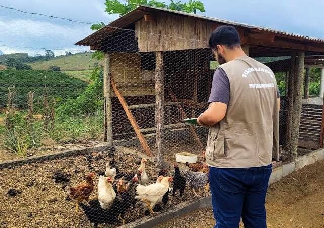 Alerta: Número de Casos de Gripe Aviária no Brasil Alcança 152 com Novo Registro no Espírito Santo