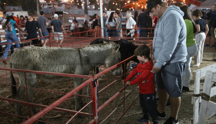 Exposul Rural 2024 Confirma Data para o Mês de Abril Em Cachoeiro