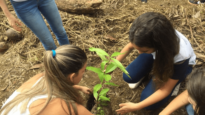 Anchieta: Secretaria do Meio Ambiente Desvenda Suas Metas e Projetos para 2024