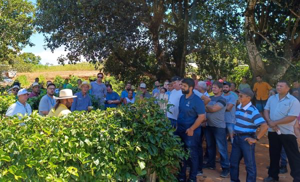 Capacitação para Produtores Rurais: Cultivo de Maracujá em Anchieta