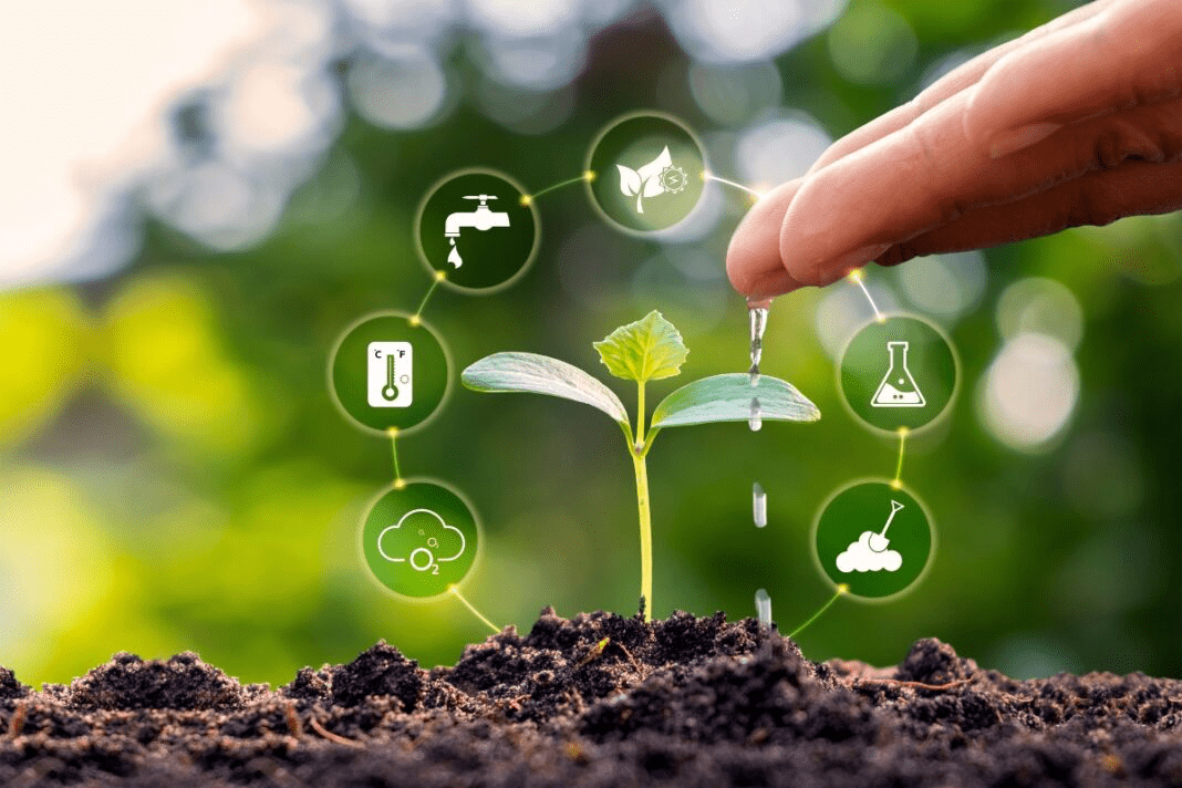 Anchieta Verde: Meio Ambiente Anuncia Editais para Gincana e Feira Ambiental