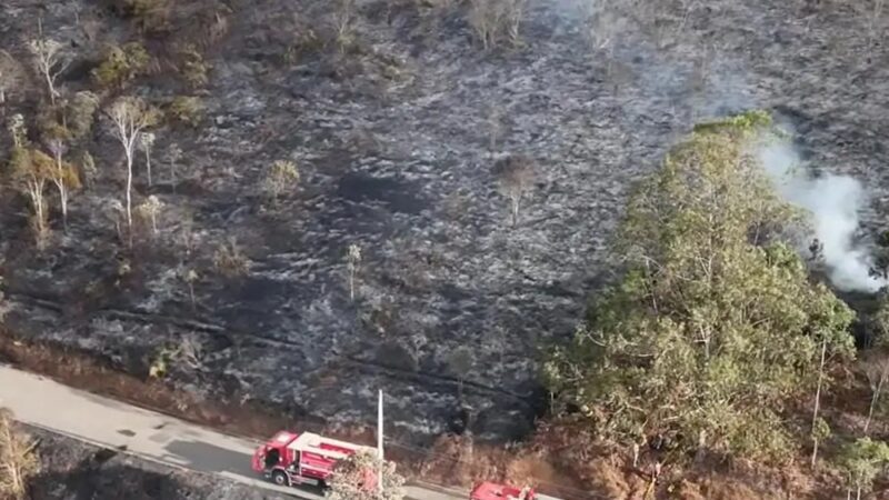 Incêndio Florestal Atinge Rota do Lagarto em Pedra Azul