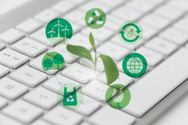 Cachoeiro promove capacitação para conselhos ambientais com foco na participação e na sustentabilidade