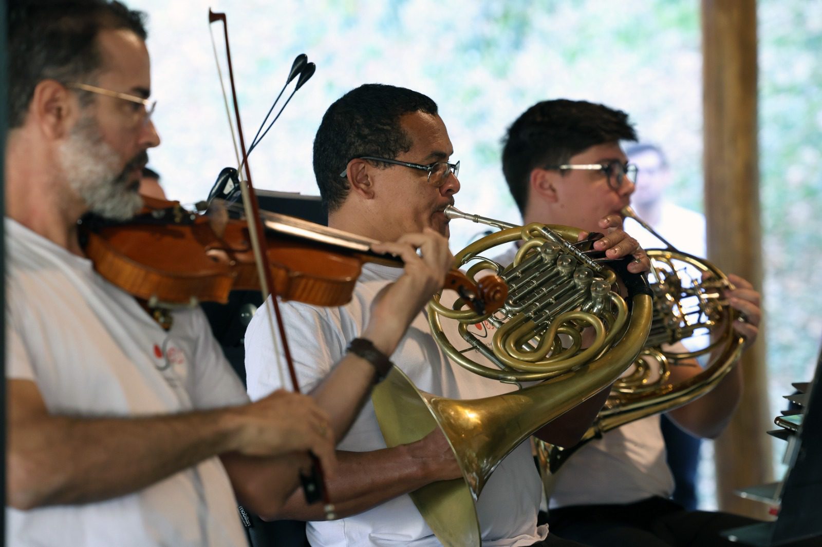Festival Cine.Ema completa 10 anos com concerto sinfônico e cinema ao ar livre na Mata Atlântica