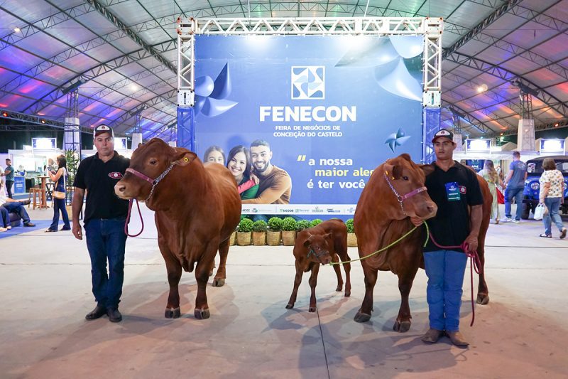 Com ENTRADA GRATUITA, nesta quinta (13) começa a maior feira de negócios e agroturismo das montanhas capixabas