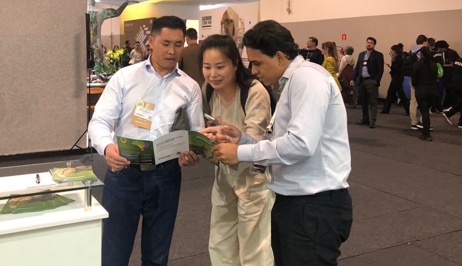 Pacotuba ganha protagonismo e leva nome de Cachoeiro à Marmomac Brazil