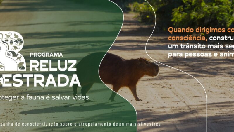 Programa Reluz na Estrada aposta em educação ambiental para zerar atropelamentos de animais nas estradas