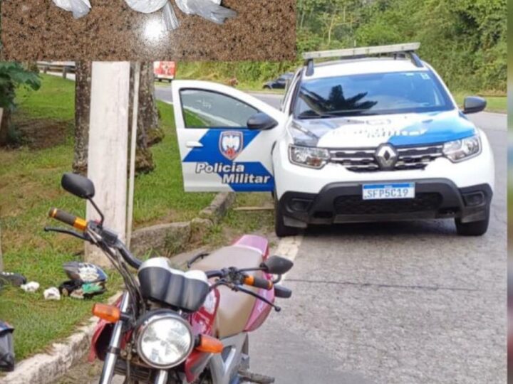 Polícia apreende armas de fogo e entorpecentes em diferentes pontos de Domingos Martins