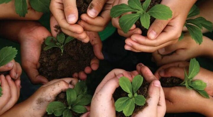 Semana do Meio Ambiente promove ações de conscientização em Cachoeiro