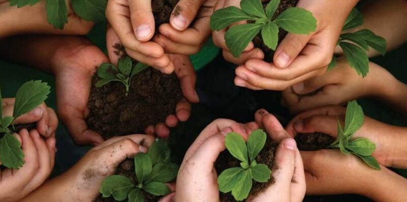 Semana do Meio Ambiente promove ações de conscientização em Cachoeiro