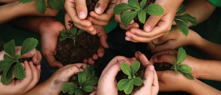 Semana do Meio Ambiente promove ações de conscientização em Cachoeiro