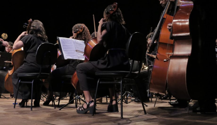 Abertas as inscrições para representantes da sociedade civil no Conselho de Cultura