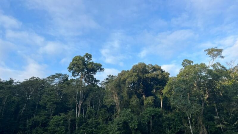 ICMBio se manifesta sobre morte de animais na Floresta Nacional de Pacotuba