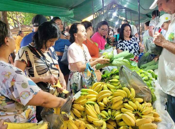 Festival reúne gastronomia, agricultura familiar e cultura na antiga Estação Ferroviária de Cachoeiro