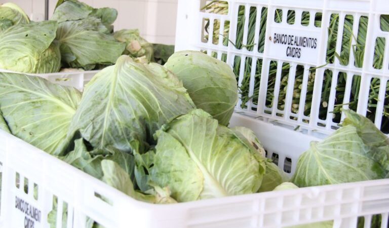 Prefeitura de Cachoeiro abre chamada pública para a compra de alimentos produzidos por agricultores familiares