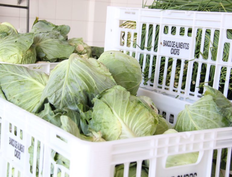 Prefeitura de Cachoeiro abre chamada pública para a compra de alimentos produzidos por agricultores familiares