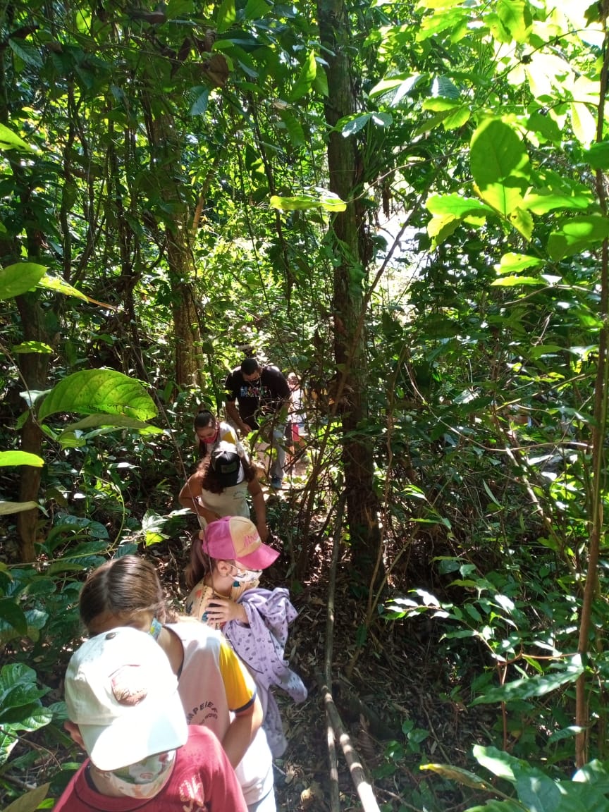 Frade e a Freira: Escolas do entorno realizam trilhas para comemorar Dia da Árvore