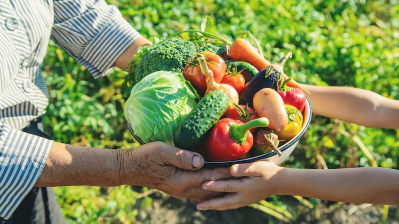 Mimoso do Sul: Seminário irá debater projetos para agricultura familiar