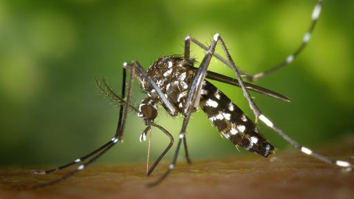 Presidente Kennedy: prefeitura promove blitz educativa em combate a dengue