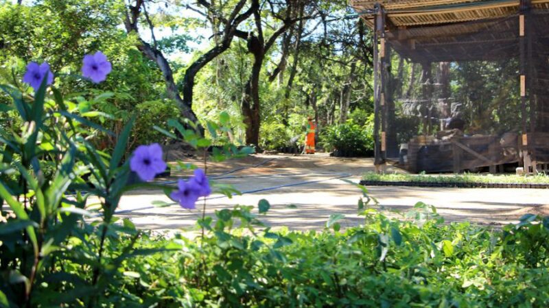 Parque Natural Municipal Morro da Manteigueira irá receber novos atrativos para turistas e moradores