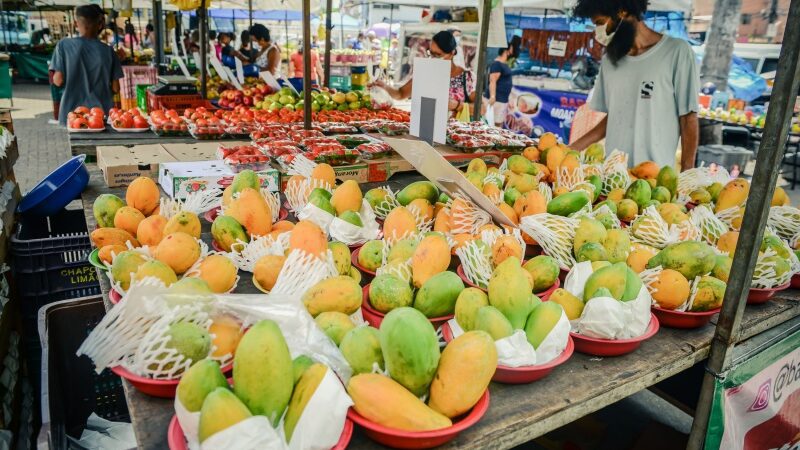 Ales: compra de veículos por feirantes pode ter incentivo