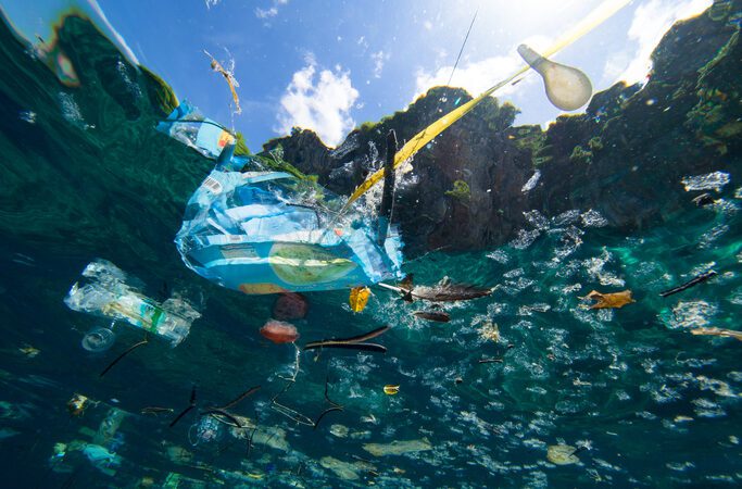 Ales: uso e preservação do oceano em pauta