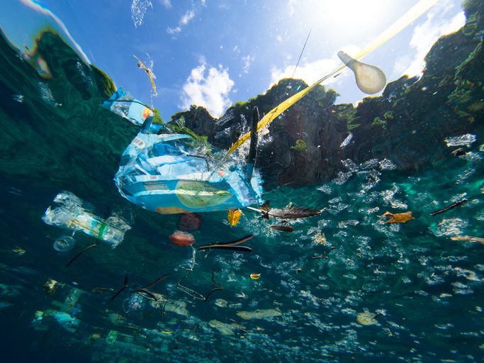 Ales: uso e preservação do oceano em pauta