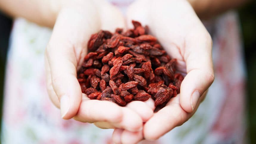 Saúde: conheça os benefícios do goji berry