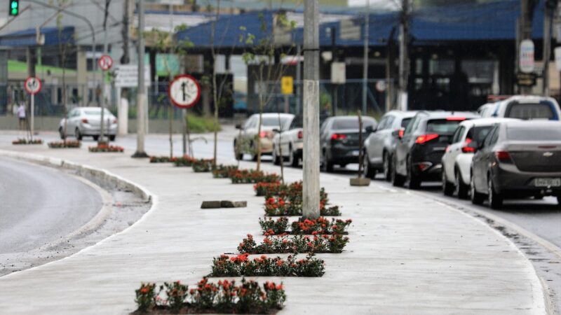 Revitalização do canteiro central da Avenida Mário Gurgel em Cariacica