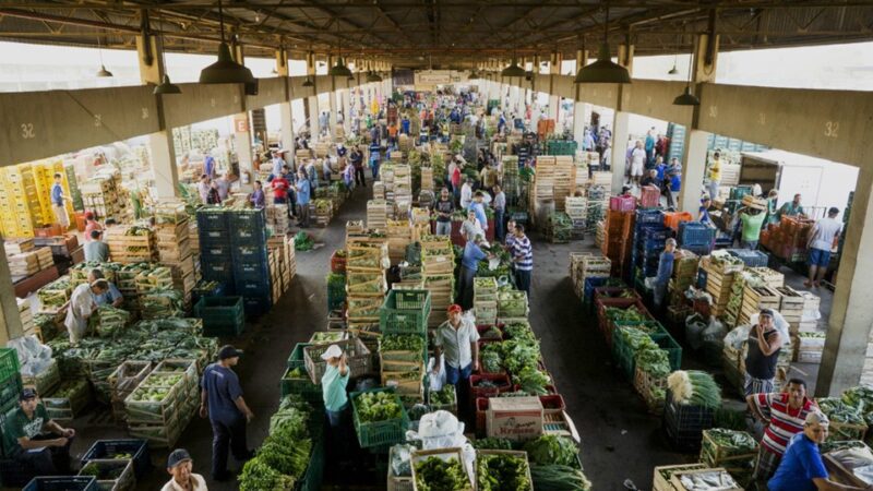 Chuva no ES impacta oferta de frutas, verduras e até ovos