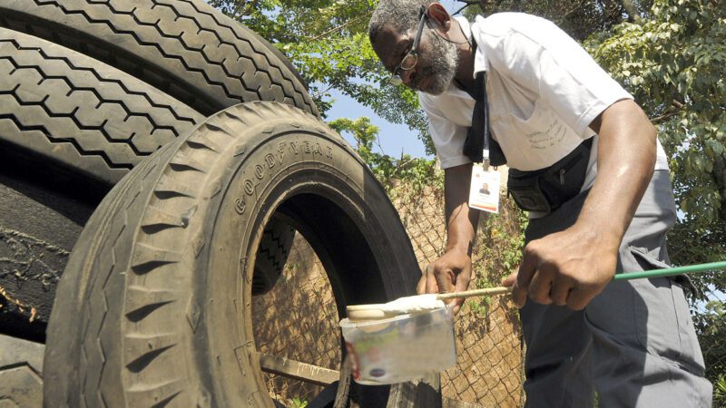 Prefeitura da Serra reforça combate a Dengue