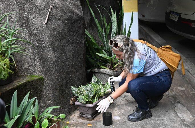 Principais criadouros da dengue estão em residências mostra estudo