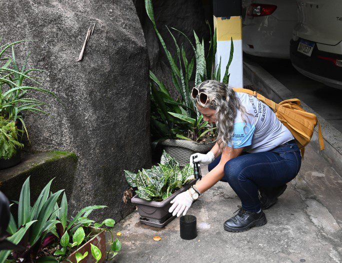 Principais criadouros da dengue estão em residências mostra estudo