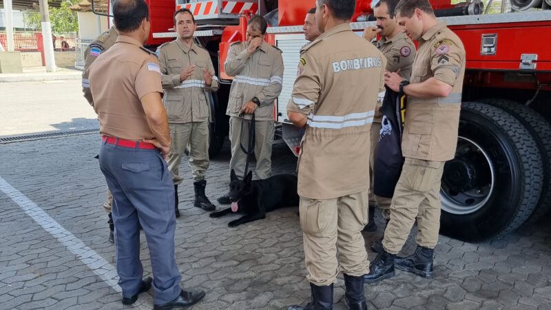 Bombeiros capixabas retornam ao Estado depois de 18 dias na Turquia