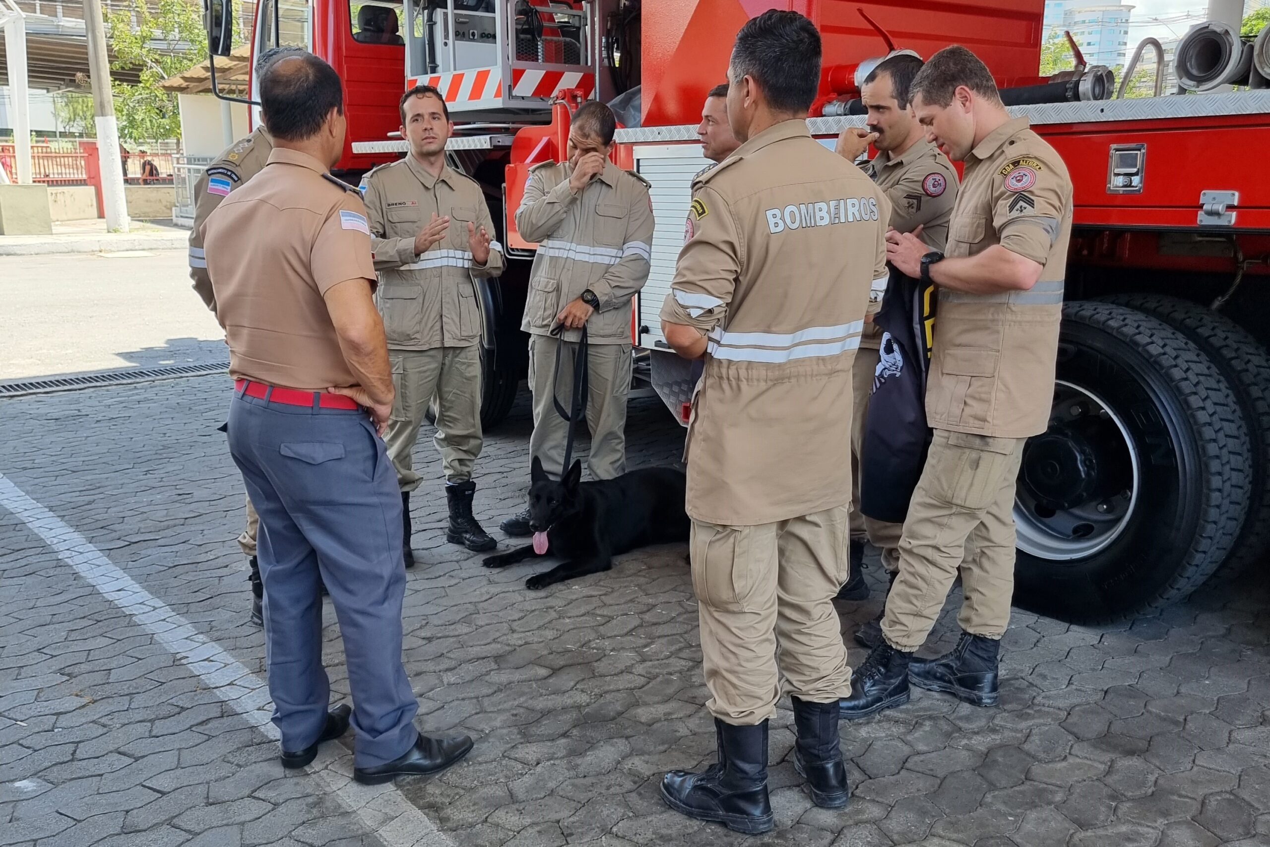 Bombeiros capixabas retornam ao Estado depois de 18 dias na Turquia