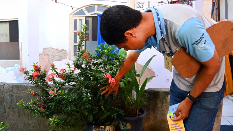 Prefeitura e Vitória realiza ação intensificada de combate ao mosquito da dengue