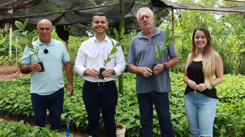 Prefeitura de Viana entrega 30 mil mudas de café conilón para produtores rurais