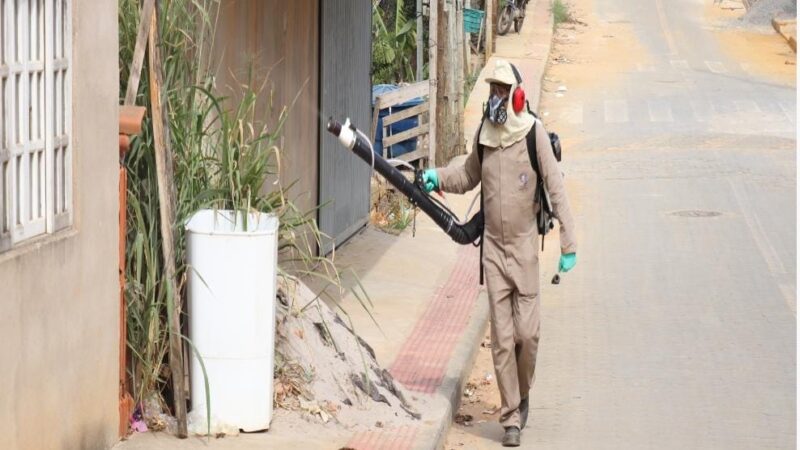 Prefeitura de Viana intensifica ações de combate aos mosquitos causadores de doenças