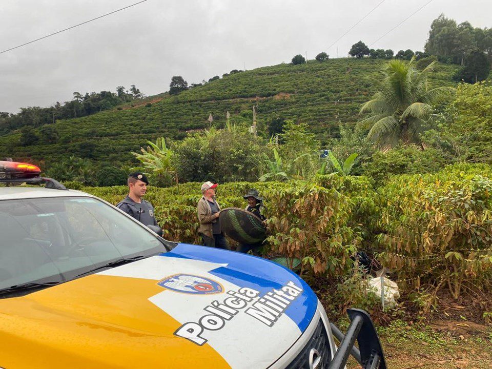 72 municípios do Estado terão reforço da polícia durante o período de colheita em 2023