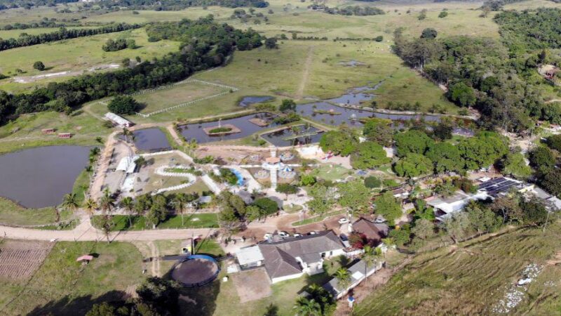 Zona Rural de Vila Velha se destaca com as melhores atrações agroturísticas da Grande Vitória