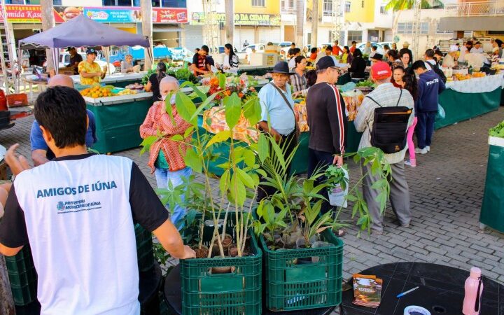 Alunos juntam 6.982 garrafas pet durante Semana do Meio Ambiente