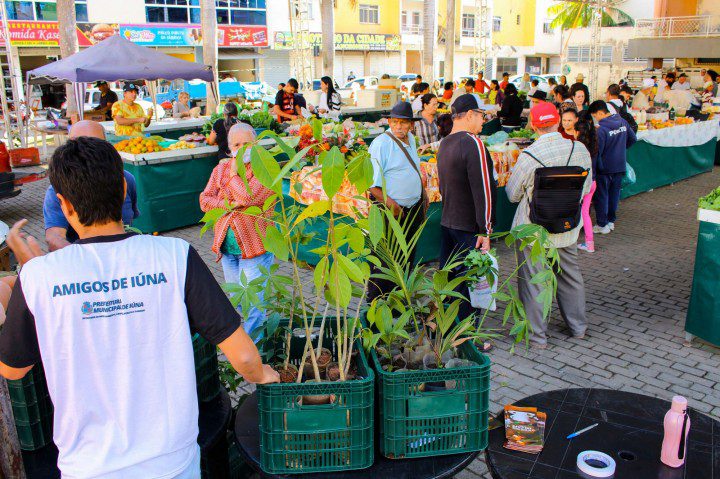 Alunos juntam 6.982 garrafas pet durante Semana do Meio Ambiente