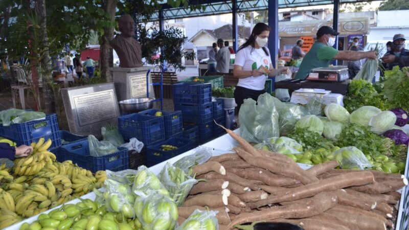 Ações para comemorar o Dia da Agricultura Familiar