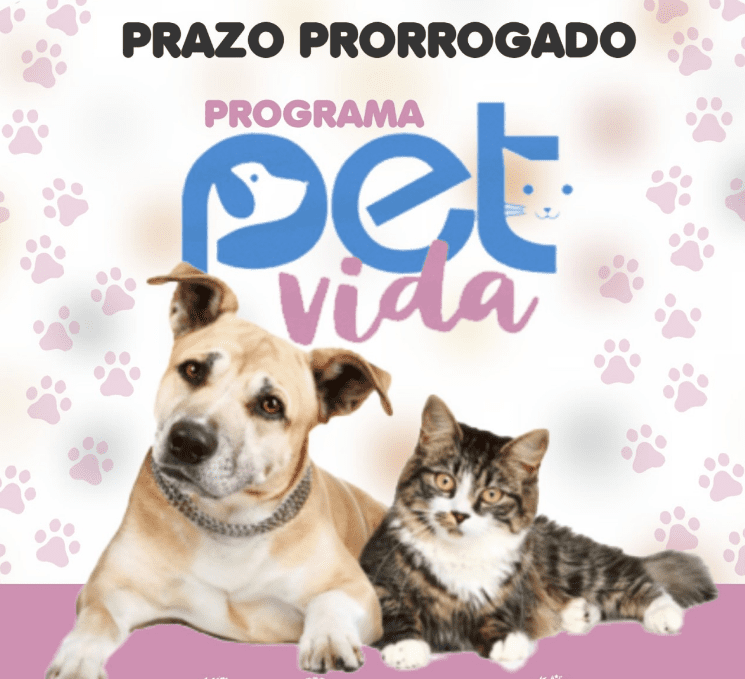 Prazo de Adesão ao Programa Estadual de Proteção Animal é Prorrogado