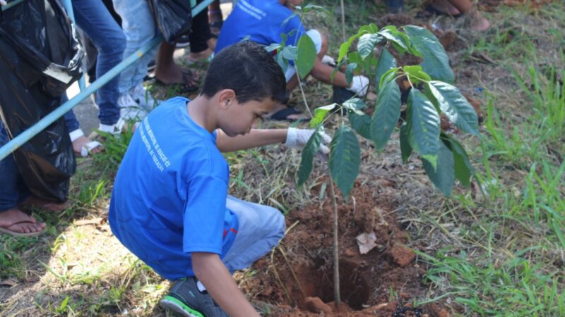 Dia da Árvore em Guaçuí: Três Ações para Celebrar a Natureza.