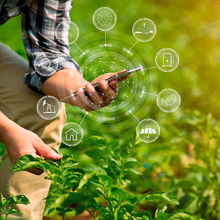 Avanços tecnológicos na Agricultura: Debates em Vargem Alta revelam reflexos positivos