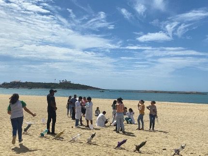 Alunos de Guarapari Decolam na Criatividade: Competição de Lançamento de Foguetes na Escola