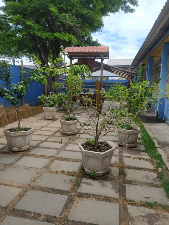 Educação Verde: Escola Implementa Horta Ecológica em Cachoeiro de Itapemirim